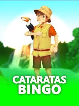 Cataratas Bingo