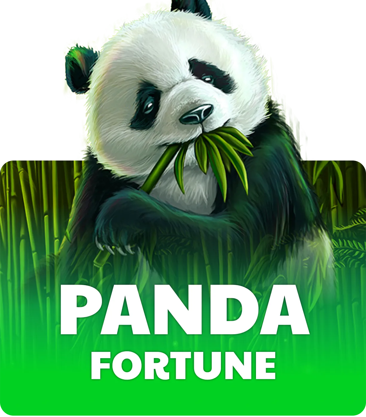 Panda Fortune