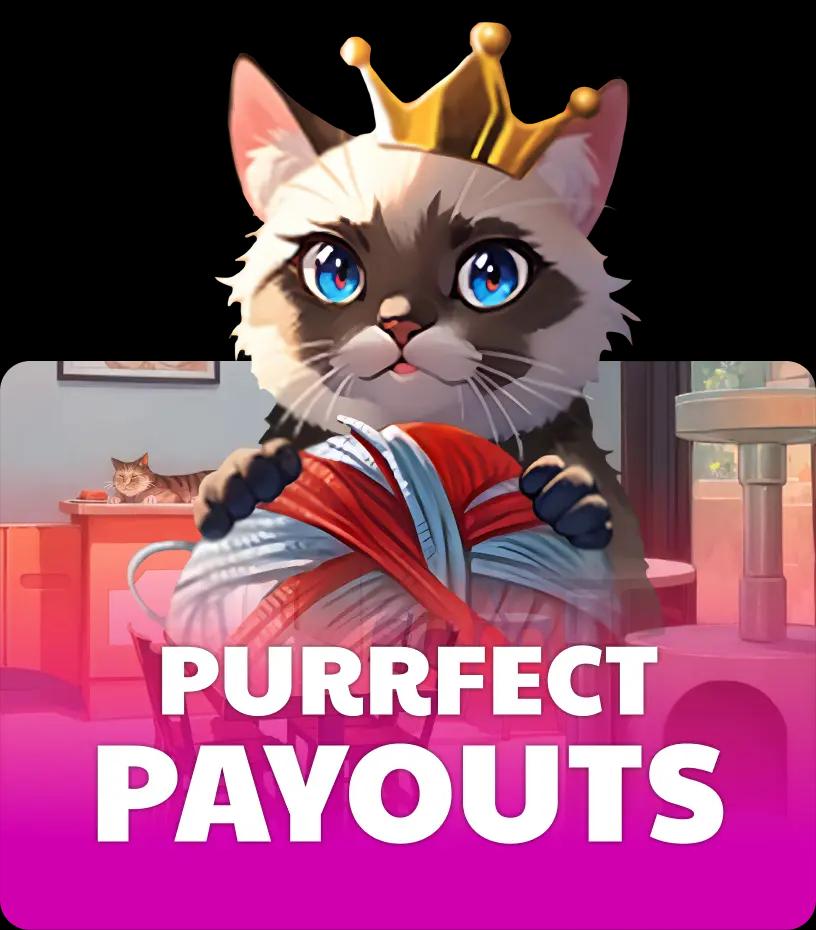 Purrfect Payouts