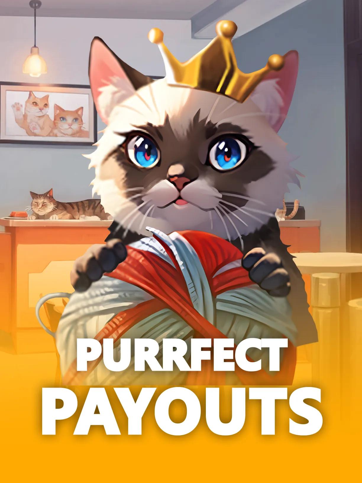 Purrfect Payouts