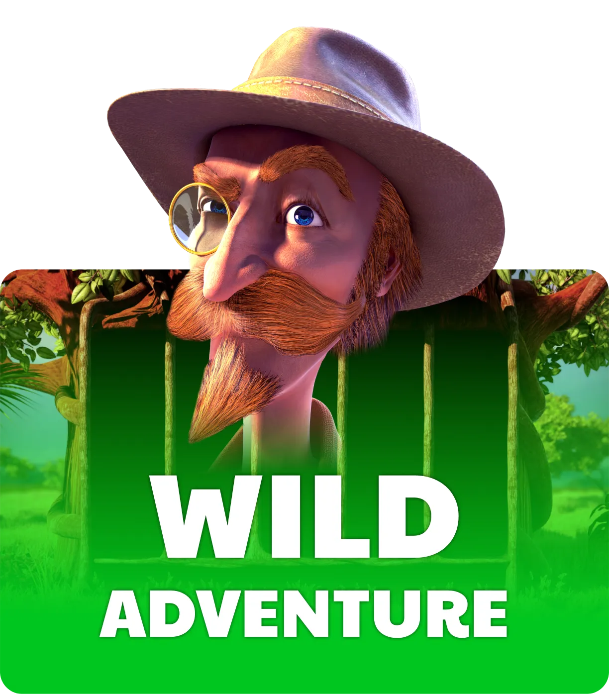 Wild Adventures