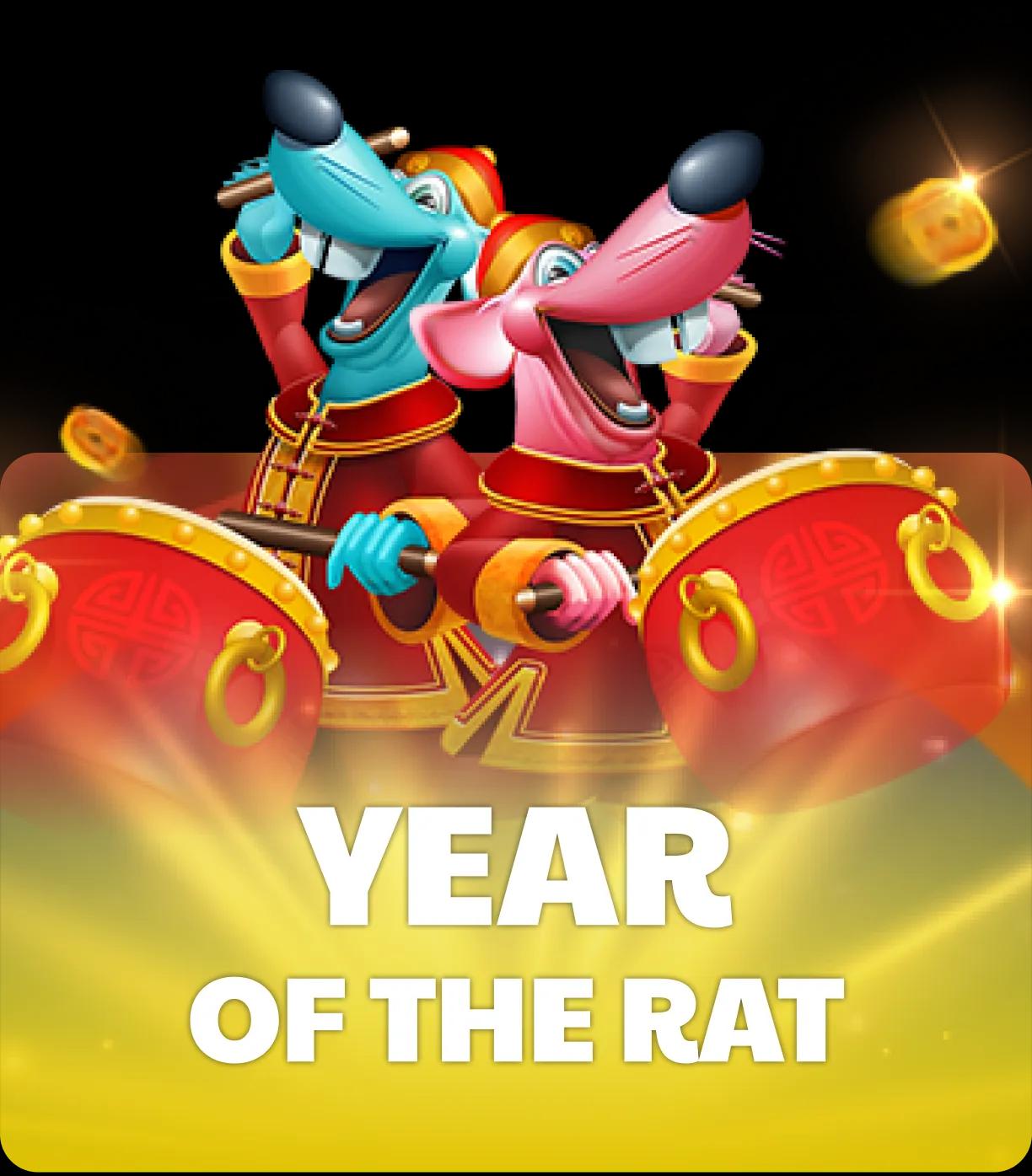 Year of the Rat