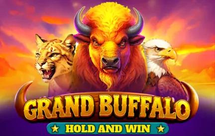 bg-Grand-Buffalo-Hold-and-Win.webp