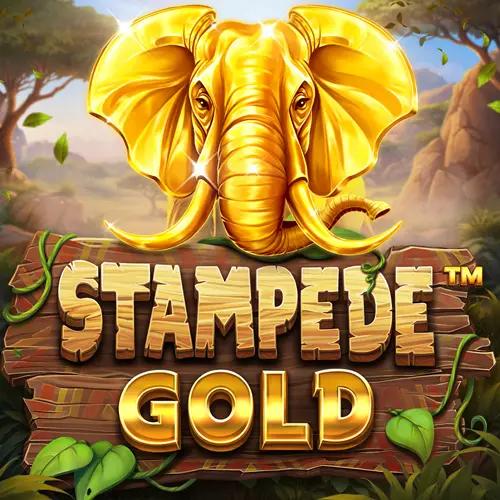 bs-Stampede-Gold-square.webp