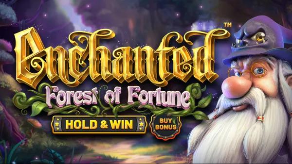 bs-enchanted-forest.webp