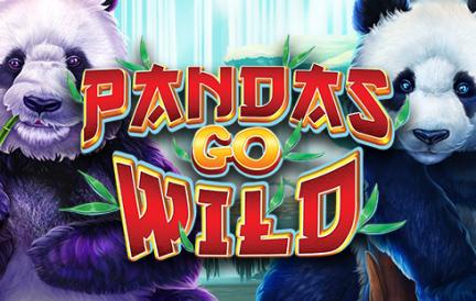 gs_Pandas_Go_Wild.webp