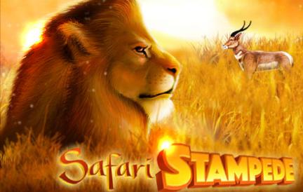 gs_Safari_Stampede.webp