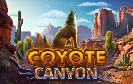 rv-Coyote-Canyon.webp