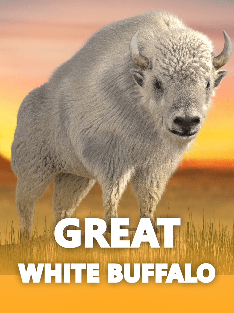 Great White Buffalo Video Slot