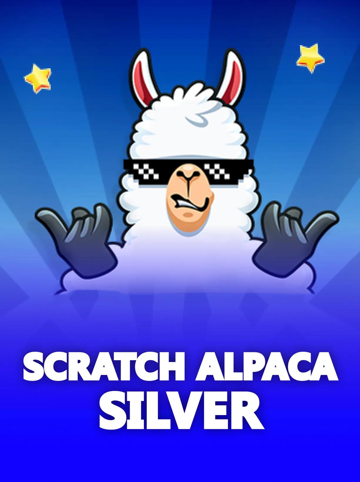 Scratch_Alpaca_Silver_square.webp