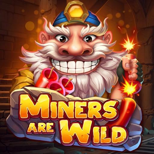 dl-miners-are-wild-square.webp